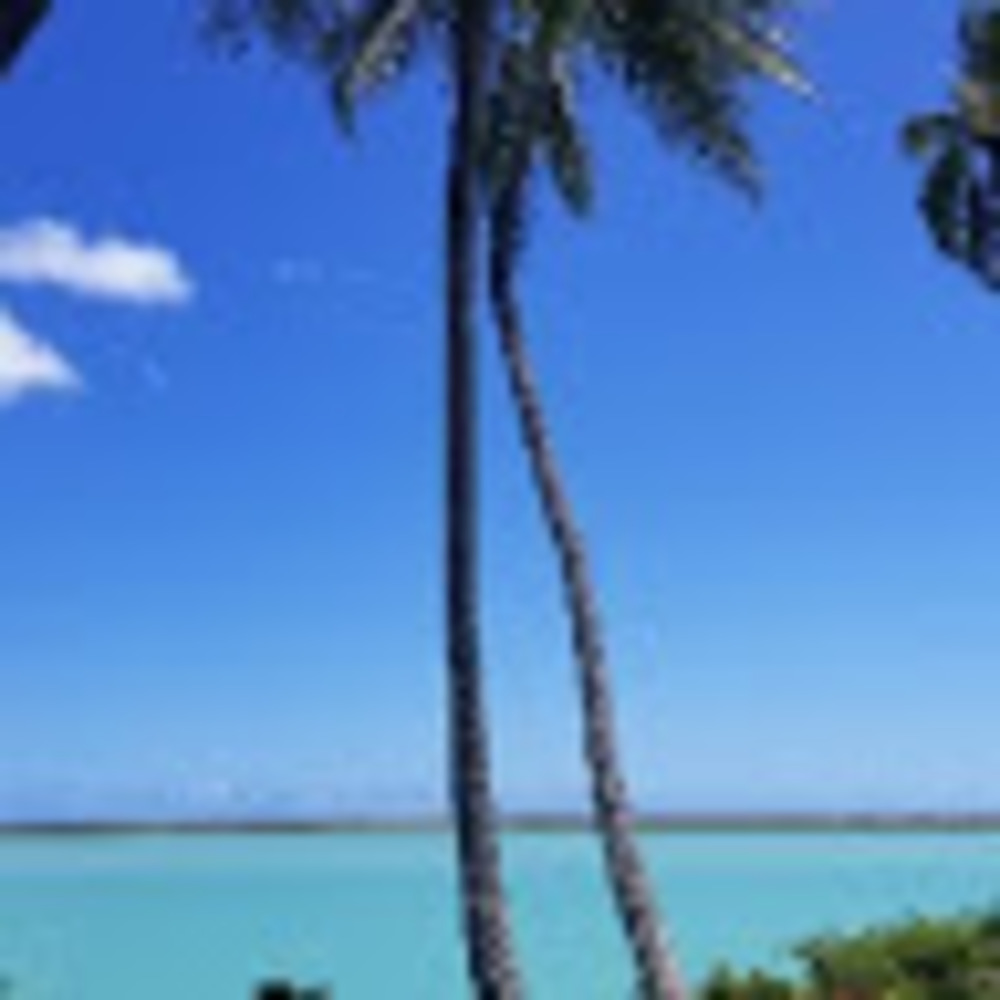 Meet your Posher, Dan